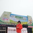 선산파크골프