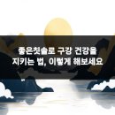 건강을지키는우리의원 | 좋은칫솔로 구강 건강을 지키는 법, 이렇게 해보세요
