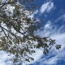 와석초교(병설) 이미지