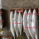 통영미르수산