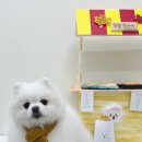 허그몽몽 이미지