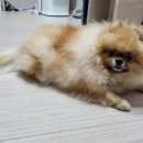 찬*이* 이미지