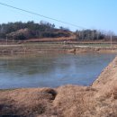 단군영당유허비 이미지