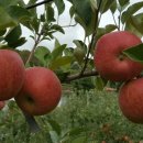 부림3길 이미지