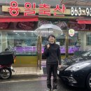용일축산 Daum카페