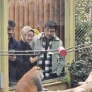 오르농장 이미지