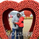 사과1번지