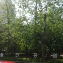 연수동음식문화시범거리 이미지