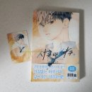 양지포토하우스 이미지