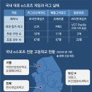 하나스포츠 이미지
