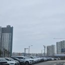 의정부지방법원 남양주지원 전세사기 변론기일 후기