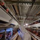 장락농장 이미지