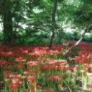 마블게임 이미지