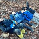 숲속유치원 이미지