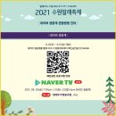 2021 수원발레축제 이미지