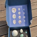 새동네어린이집 이미지