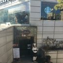 라비따 | 예술의전당 맛집 : 테너 김충식 선생님과 함께한 '라비따(Lavita) 의 런치코스'