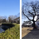 유당공원(주차장) 이미지