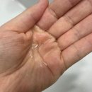 듀오헤어 | 아네안 헤어로션+헤어세럼 듀오 SET 사용 후기