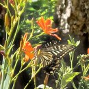 소상공인 배달 택배비 지원금 신청 하세요 이미지