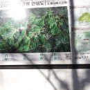 동백관광여행사 이미지