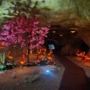 대덕대로(유성-4) 이미지