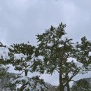 석운로202번길 이미지