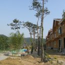 대천리조트 이미지