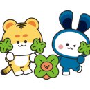 금영오일