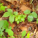 진선미농장 이미지