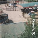 수봉놀이동산 이미지