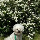 한화리조트거제벨버디어 피트니스 이미지