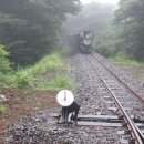(주)더원(에코랜드) 이미지