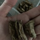 창하농장 이미지