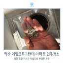 오투그란데아파트 | 익산 제일오투그란데 아파트 입주청소, 외창 포함 15시간 작업으로 완성한 현장
