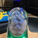 아슈크림 | GS25 편의점 신상 아슈크림 프로즌 포도 소르베 먹어본 후기