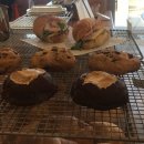 만리포해수욕장 관광지 | 충남 태안 만리포 해수욕장 오션뷰 카페 커피 디저트 추천 마레코지 로스터리