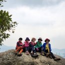 수리산 임도오거리 화장실 이미지