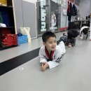 선일태권도장 이미지