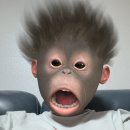 퓨어드 이미지