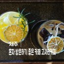 고사리커피 - 제주시 | 제주 구좌 비자림 근처 카페 고사리커피 솔직 후기