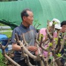 김상길농장 네이버블로그