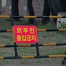 유토피아1 이미지