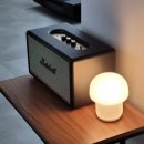 워싱턴짐 이미지