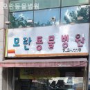 모란동물병원 - 성남시 중원구 성남대로 1126 | 모란동물병원
