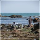 바다스케치 이미지