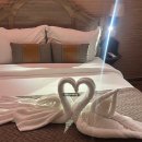 J카써비스 | 신행 5일차 | 파워J 신혼쀼가 달랏을 갔을 때 최고의 일정