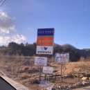 우다다애견펜션 이미지