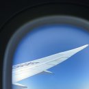 922 | 대한항공 리스본 - 인천 직항 KE922 45G좌석 과일식 해산물식 기내식 후기
