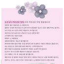 홍익대학교 스마트도시 과학경영대학원 이미지